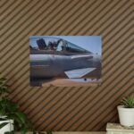 10694454956372807450_2048.jpeg