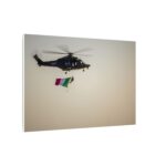 14536218720500253611_2048-1.jpeg