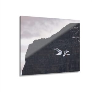 AXALP 11
