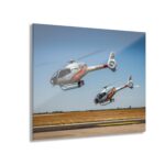 7865005099133409736_2048.jpeg