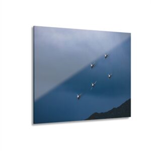 AXALP 20