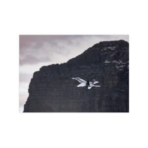 AXALP 10