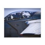 11923505913212811724_2048.jpeg