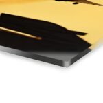 12675336786136386519_2048.jpeg