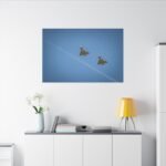 16008026548577458910_2048.jpeg