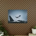 17792200359638261402_2048.jpeg