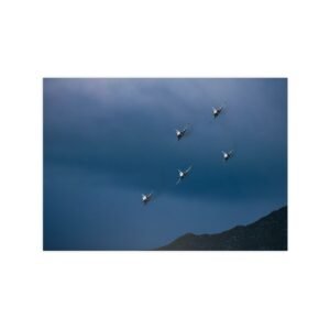 AXALP 20