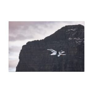 AXALP 6