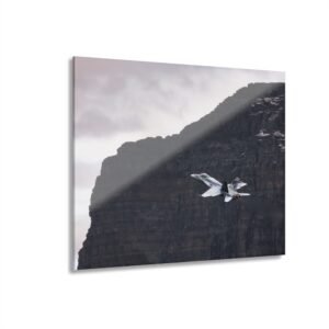 AXALP 11