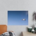 6225354773227117354_2048.jpeg