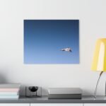 7168162180886435371_2048.jpeg