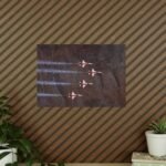 8696946326771395335_2048.jpeg